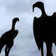 Illustration for article titled Shooting Challenge Silhouettes Gallery 2